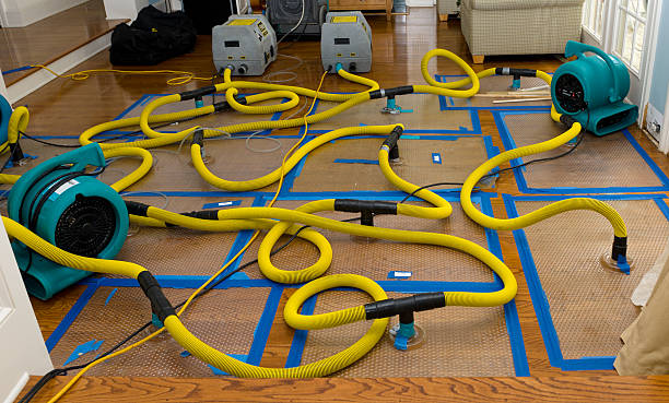 Professional Burst Pipe Water Damage technician working in Creighton, PA